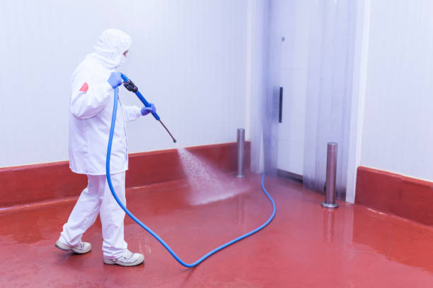 Best Roof Washing  in Poth, TX