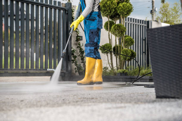 Best Gutter Cleaning  in Poth, TX